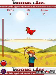 Bird Hunt