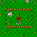 Puzzled Sheep
