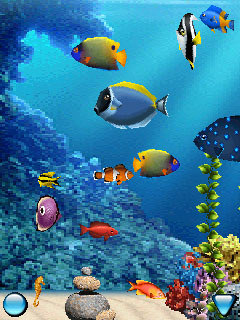 AquaPhone 3D