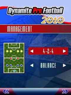 Dynamite Pro Football 2010