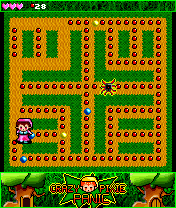 Crazy Pixie Panic