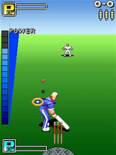 Freddie Flintoff: All Round Cricket