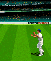Bookie Cricket