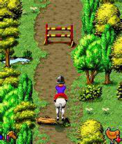 Horse and Pony