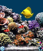 AquaPhone