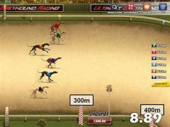 Greyhound Racing Multiplayer